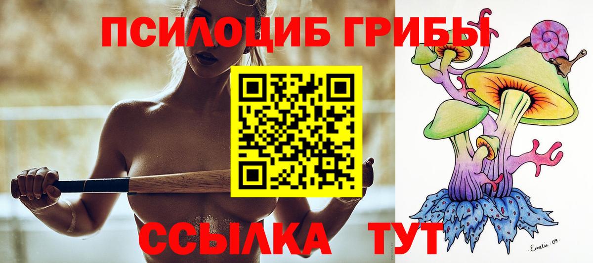 Богданович  Псилоцибиновые грибы Psilocybe  Вход с VPN 
