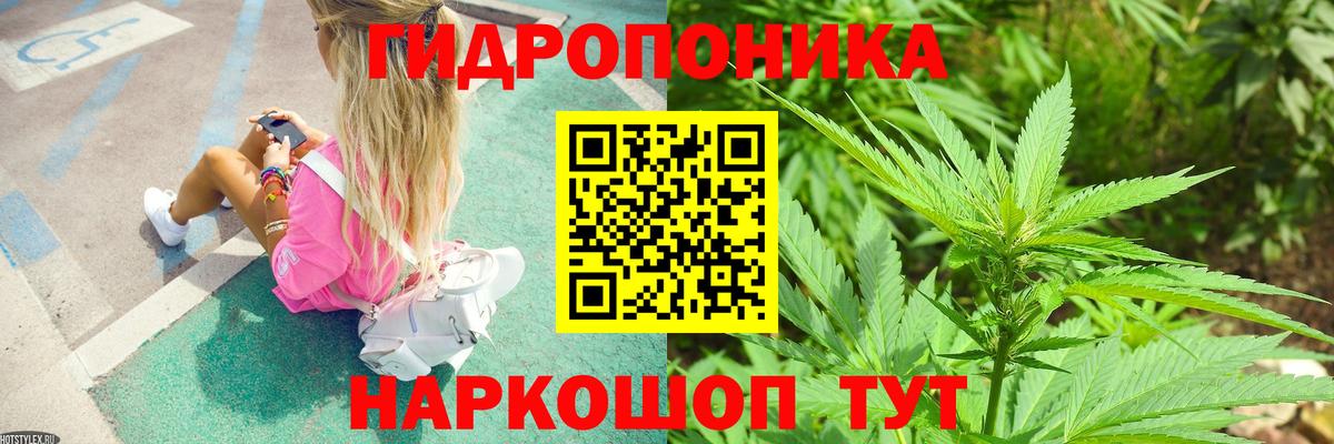 Бошки марихуана White Widow Богданович
